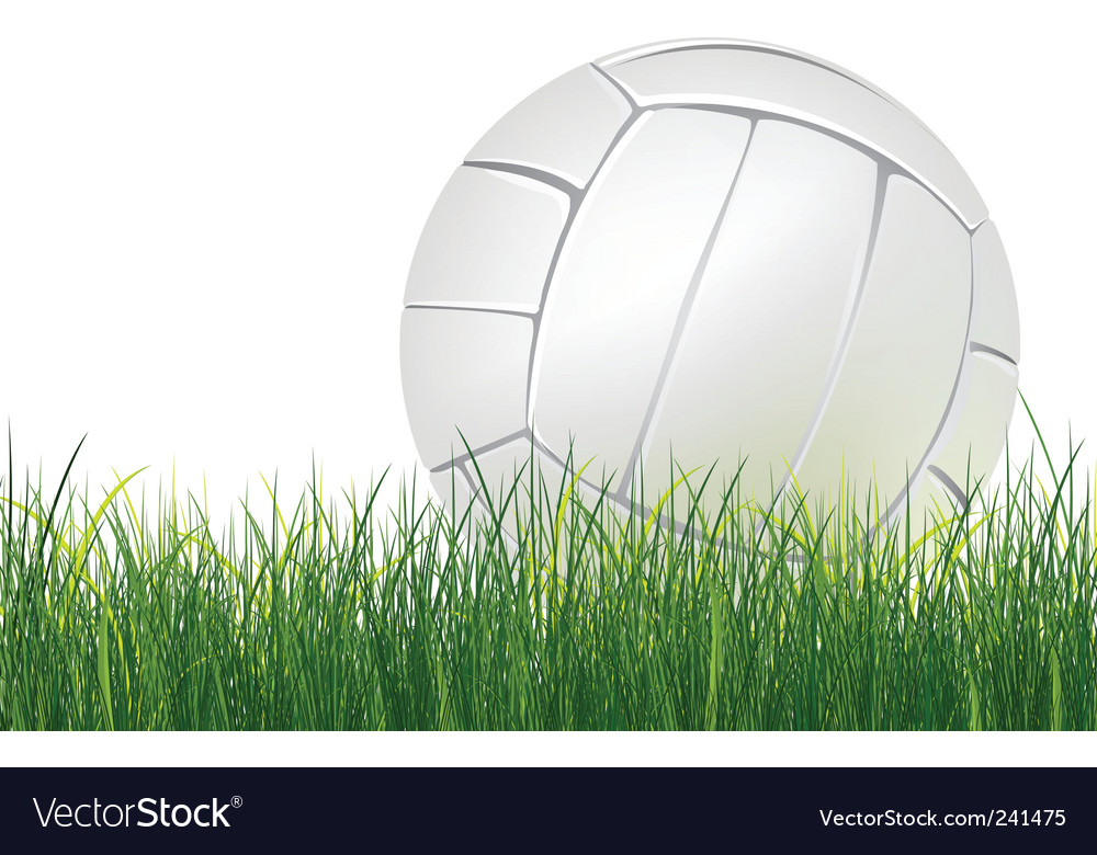volleyball ball images. Volleyball Ball Vector
