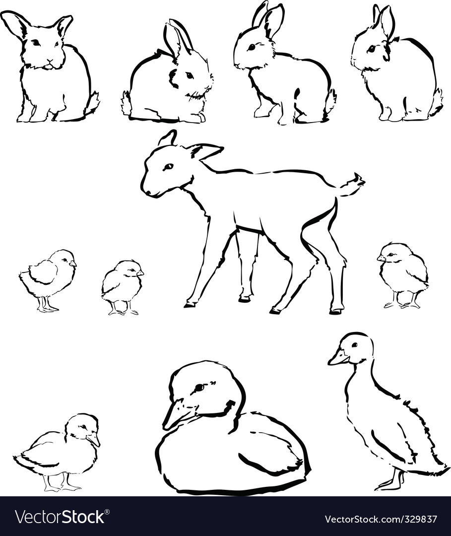 baby animals pictures to color. born in animals may color
