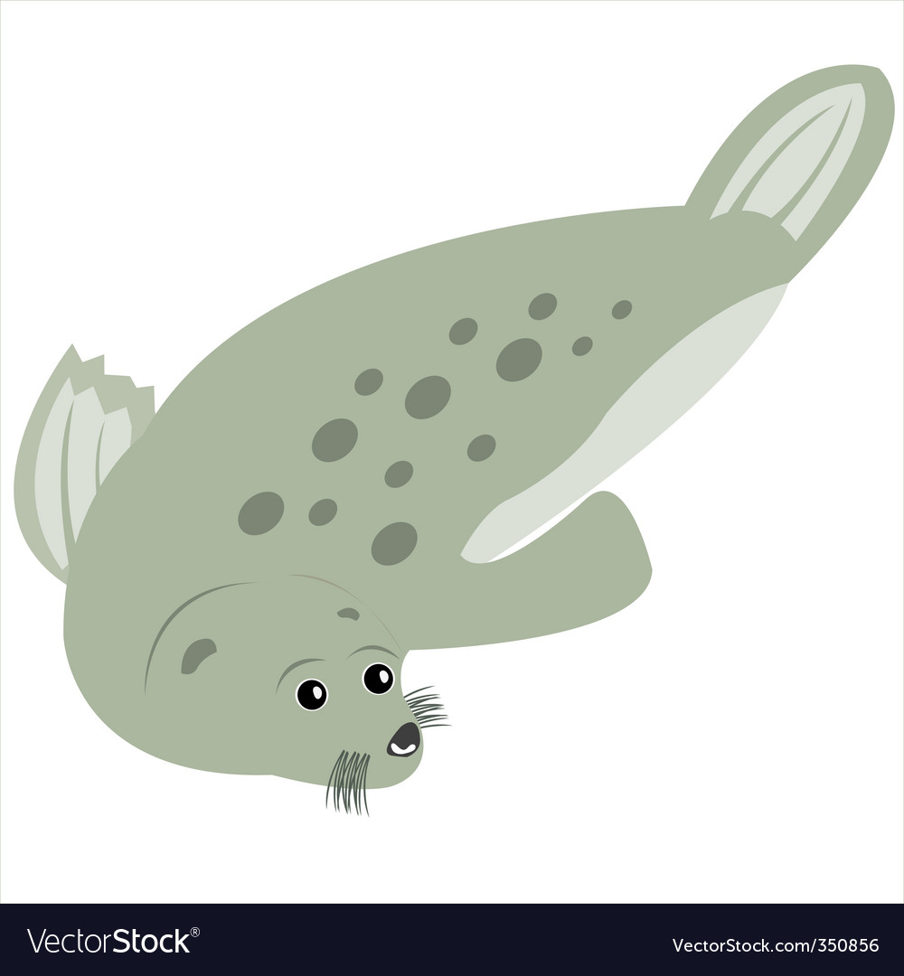 seal animal. Sea Animal Seal Vector
