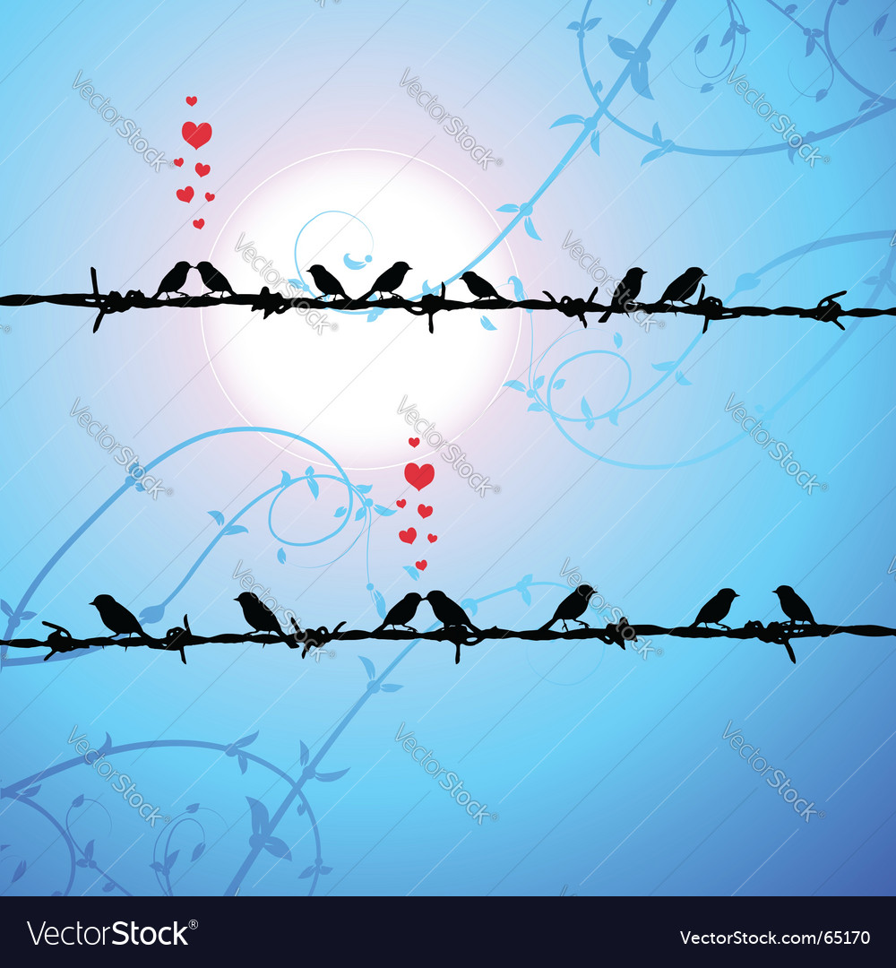 love birds kissing wallpaper. love birds kissing wallpaper
