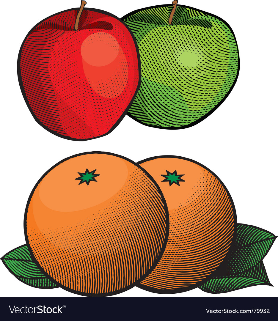 Pictures Of Apples And Oranges. Apples And Oranges Vector