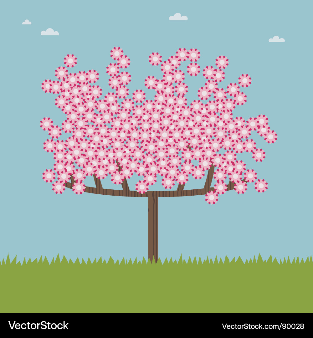 cherry blossom branch vector. Cherry Blossom Tree Vector