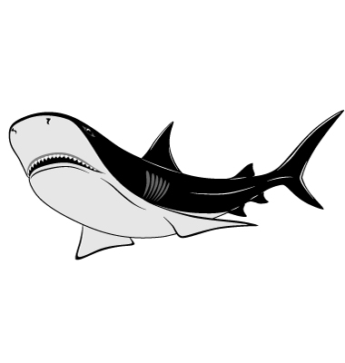 Shark Tattoo Vector. Artist: flanker-d; File type: Vector EPS 