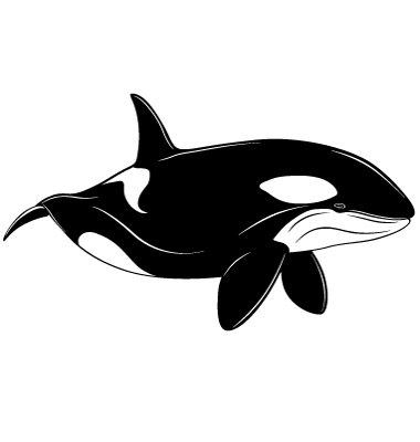 Whale Clipart for custom t-shirt design, tattoo design and logo design. Killer Whale Vector. Artist: flanker-d; File type: Vector EPS