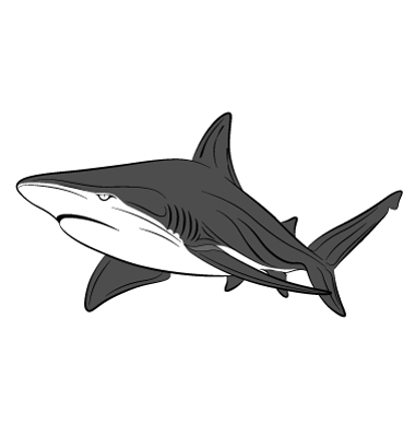 vector shark tattoo vector