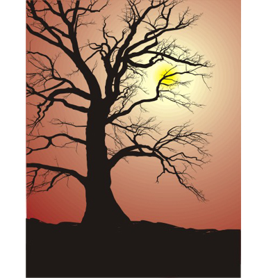 Silhouette Of An Old Oak Tree Vector. Artist: ard; File type: Vector EPS 