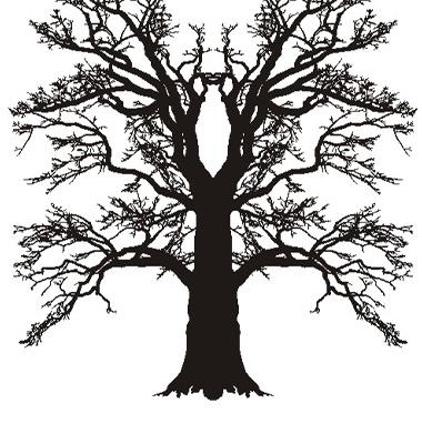 Tree Oak Silhouette Vector. Artist: ard; File type: Vector EPS 