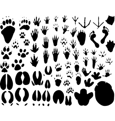  [animal footprints tattoo. pictures of baby footprint tattoos] printable 