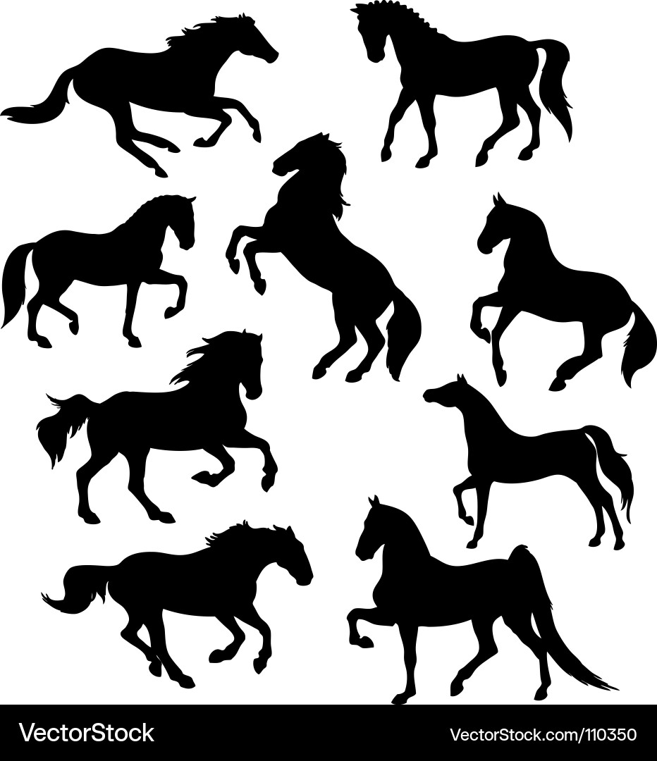 more horse silhouettes, running, rearing, jumping, walking. Keywords: