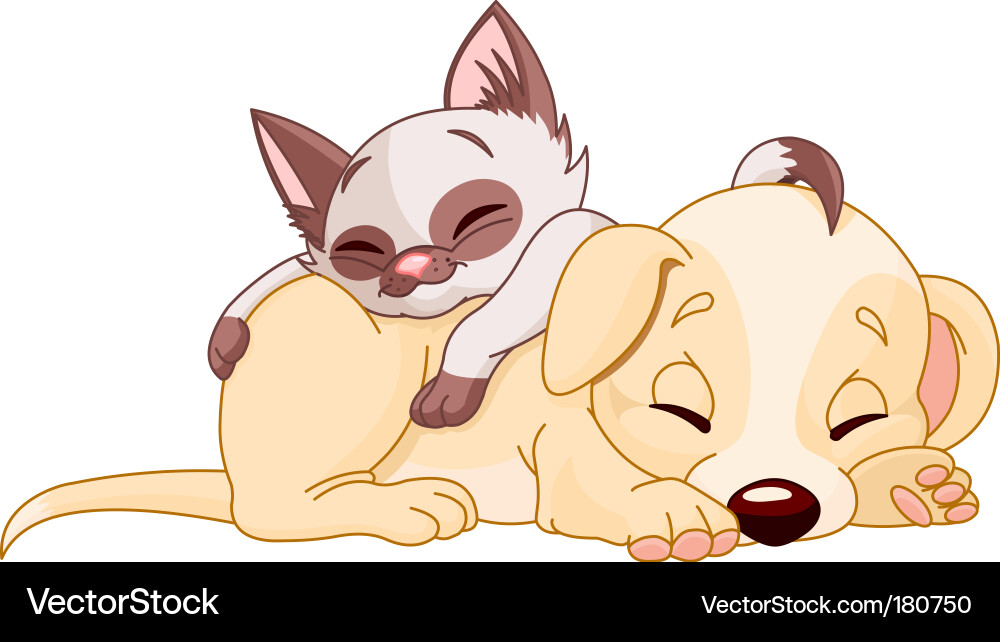 cute puppy and adorable kitten are sleeping. Keywords: