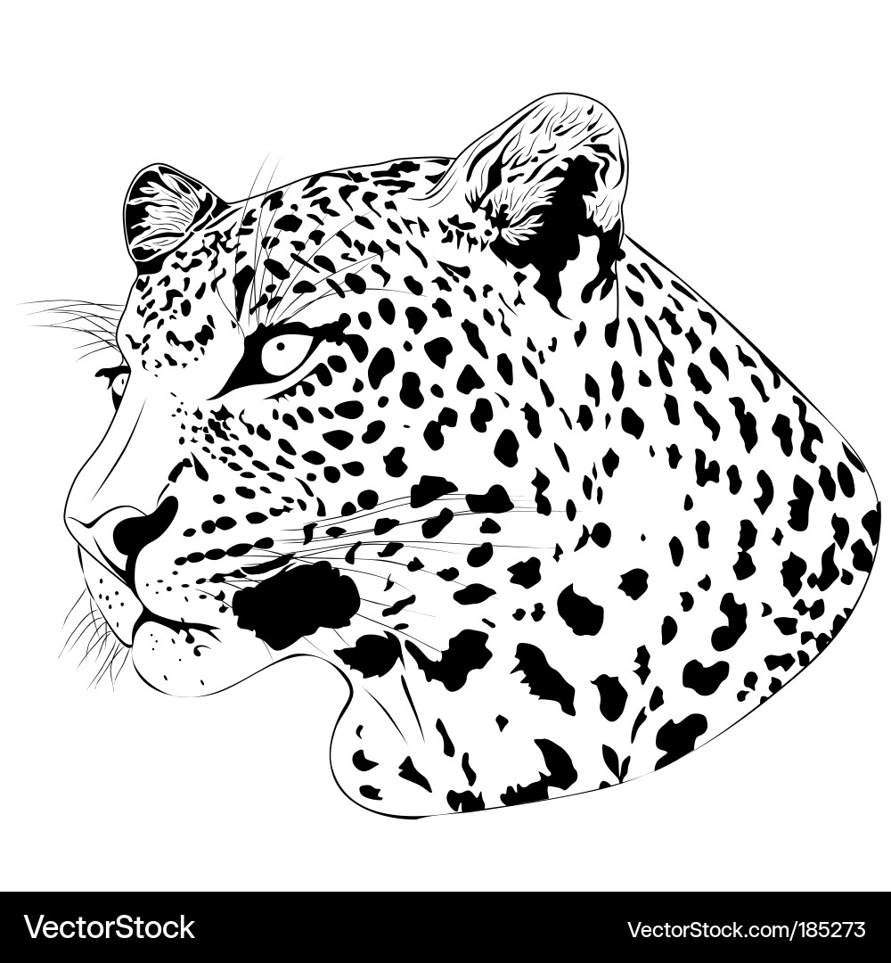 Leopard Tattoo Vector. Artist: flanker-d; File type: Vector EPS 