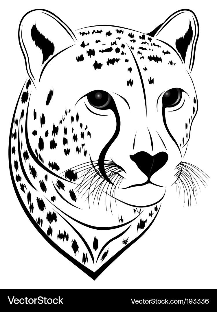 Cheetah in the form of a tattoo. Keywords: