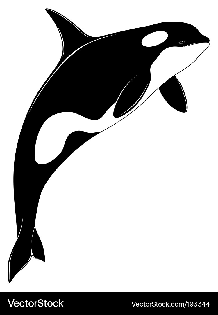 Killer Whale Tattoo Vector. Artist: flanker-d; File type: Vector EPS 