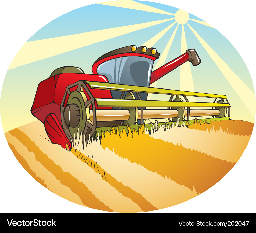  -over-sunny-sky-vector.html: Size:450x470 - 125k: cartoon wheat plant