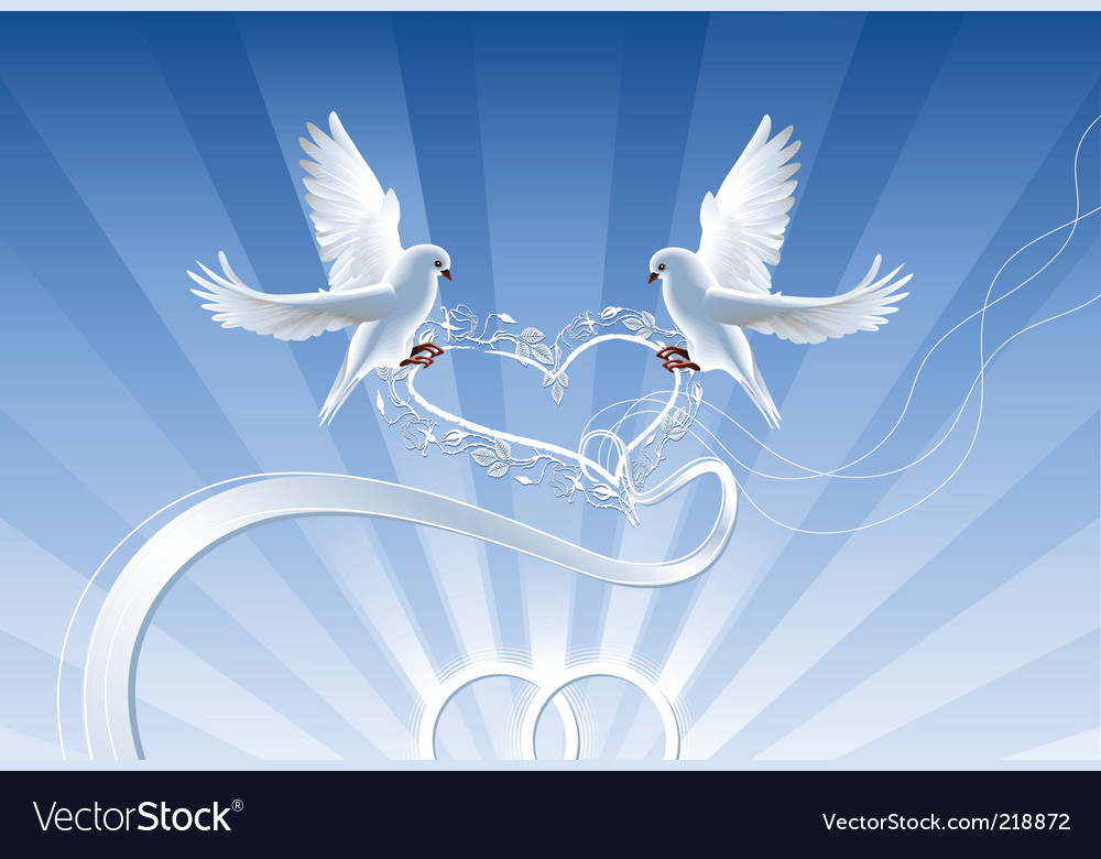 Description Wedding collage with wedding rings and two white doves
