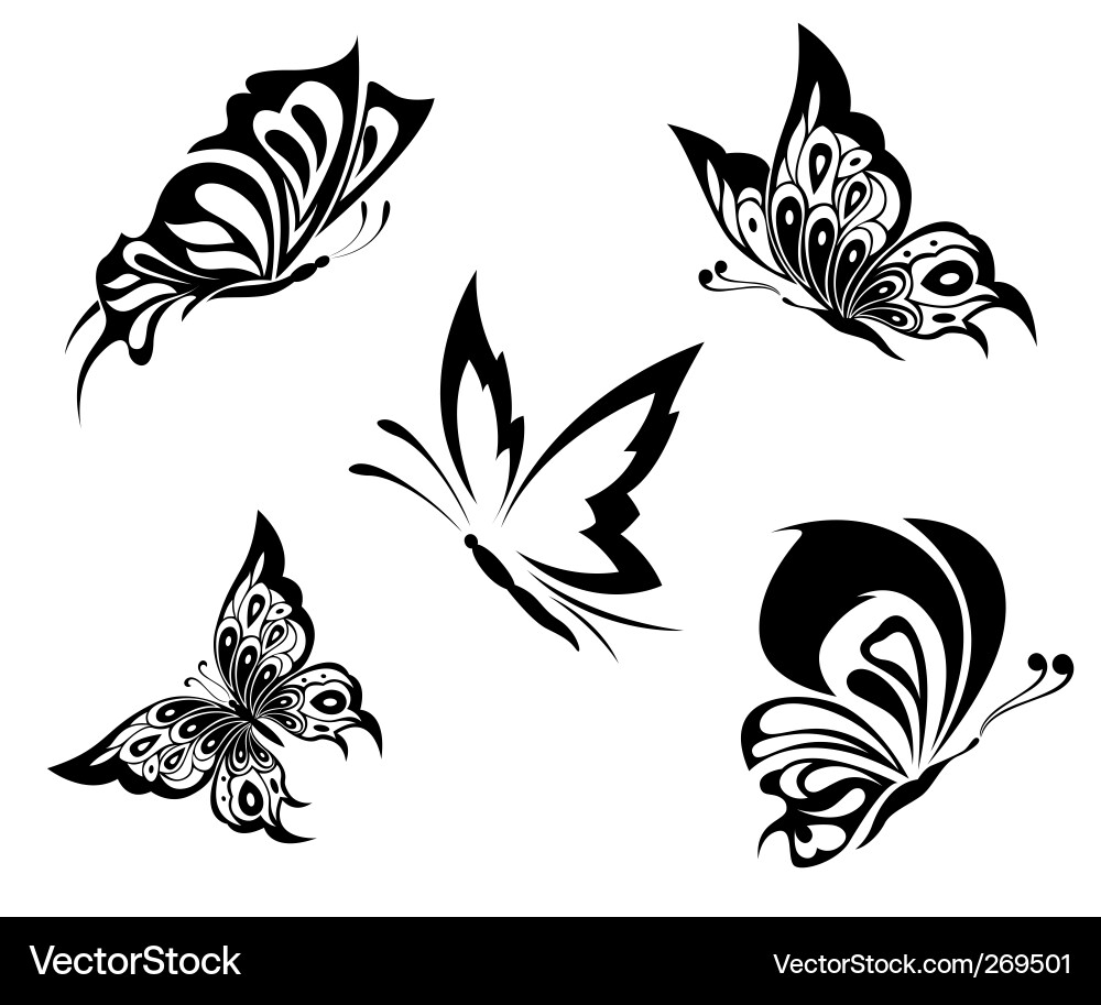 Black White Butterflies Of A