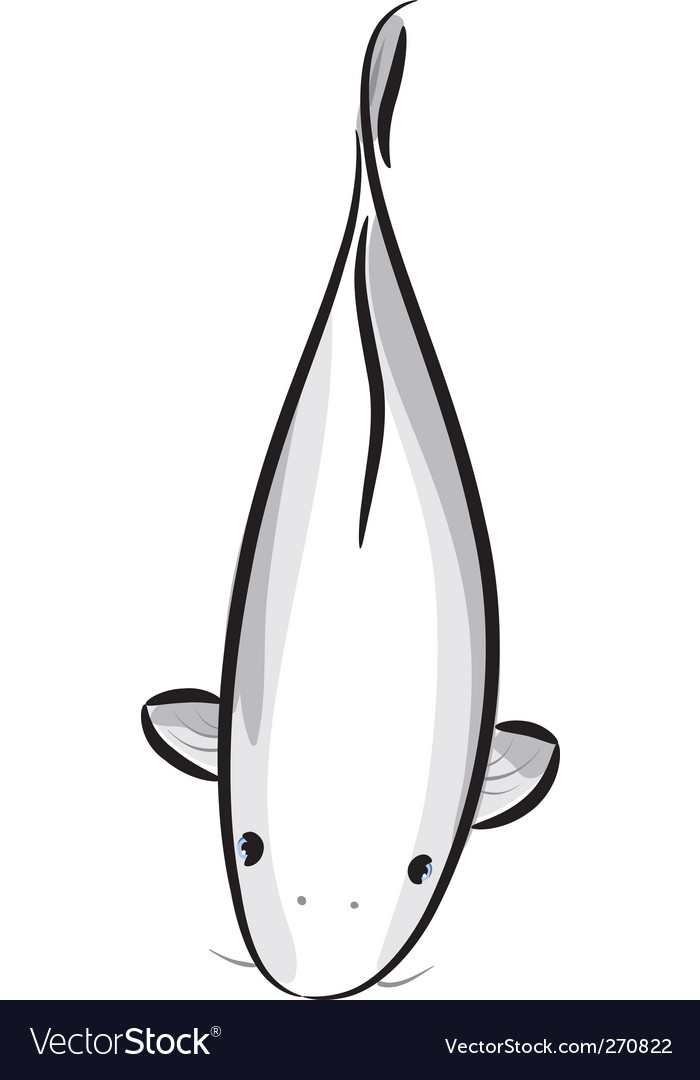 White carp koi vector 270822 by Tenki Royalty Free Vector Art 