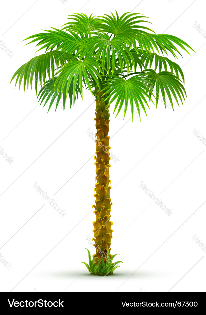free clip art palm tree. palm tree clipart free. clip