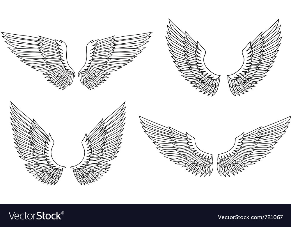 Description set of angel wings for heraldry design Expanded License Yes