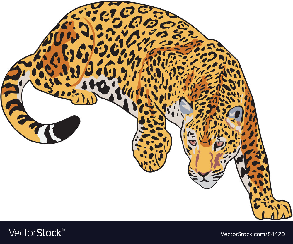 Jaguar Vector. Artist: goceris; File type: Vector EPS; Contains CS file: No 