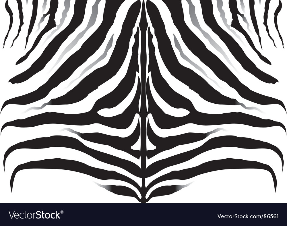 wallpaper zebra stripes. Rf zebra stripe image bank