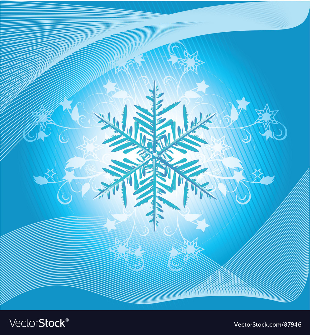 Winter Snowflake And Flourish Vector