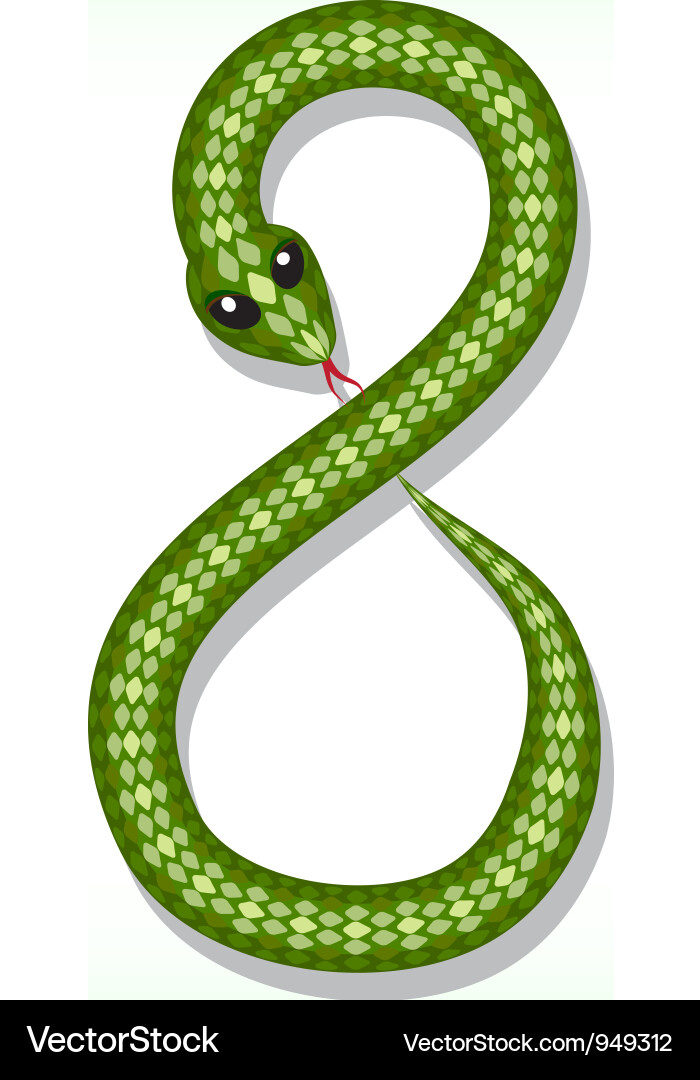 http://www.vectorstock.com/composite/949312/snake-font-digit-8-vector.jpg
