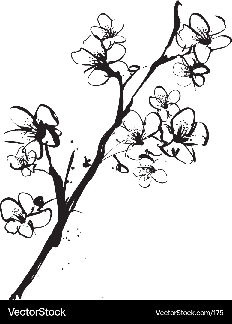Cherry blossom ink illustration vector