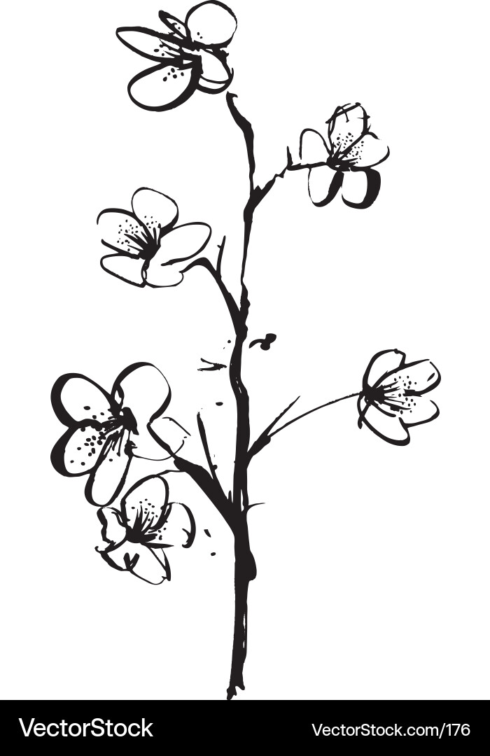 Cherry blossom ink illustration vector