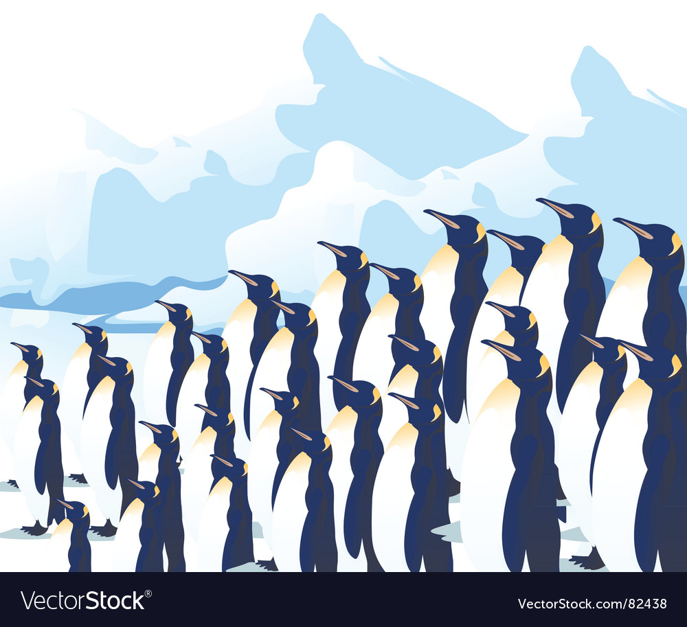 penguin crowd