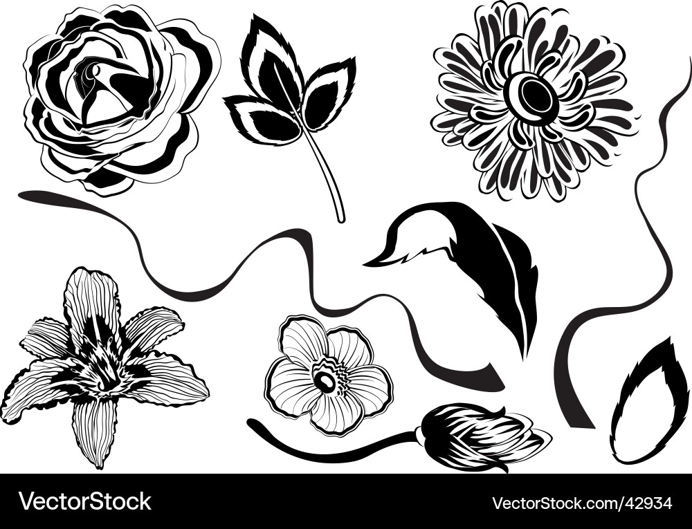 Set of flower designs vector