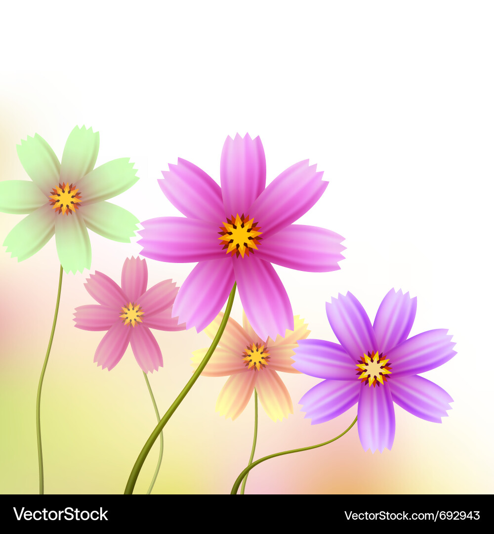 Wallpaper Borders on Floral Border Wallpaper Vector 692943   By Neyro2008
