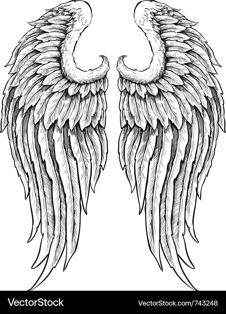 Hand drawn angel wings vector