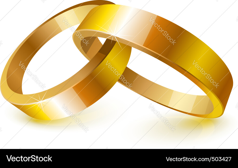 Gold wedding rings vector