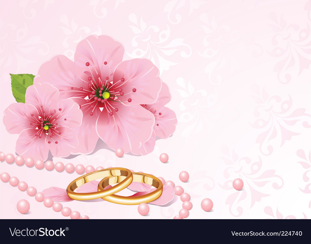 Wedding rings and cherry blossom vector