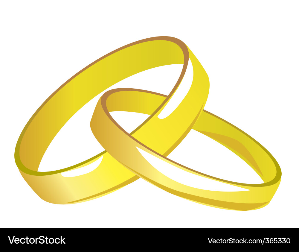 Two gold wedding rings vector