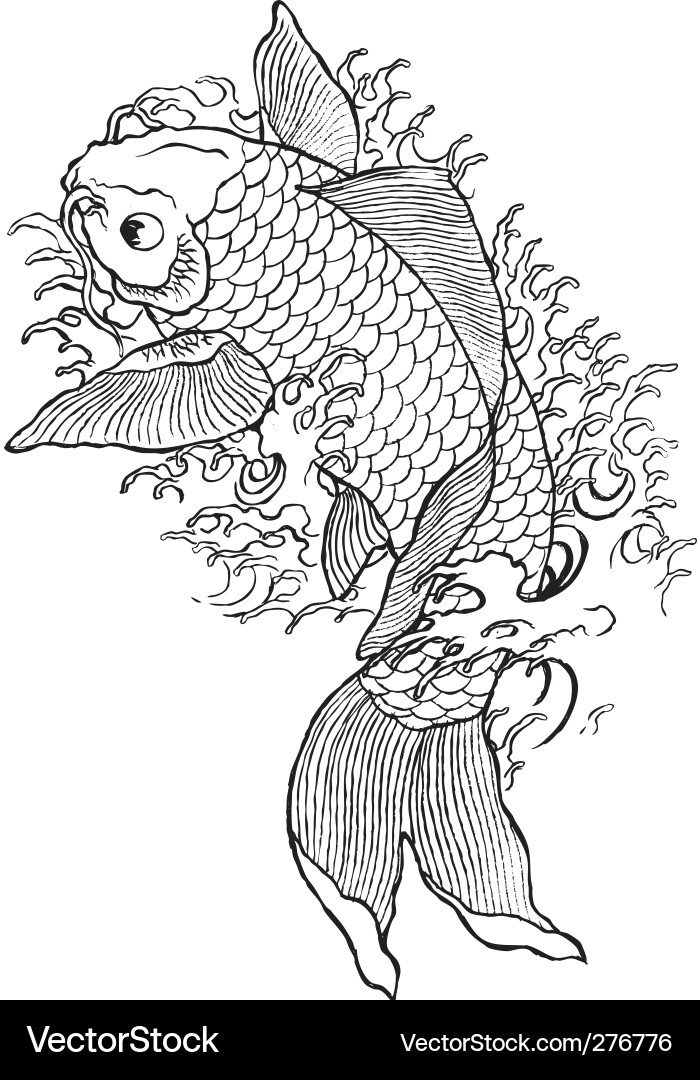 Hand drawn koi fish vector