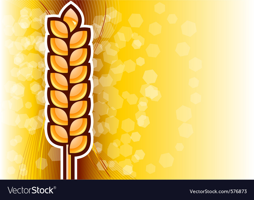 Corn Gold
