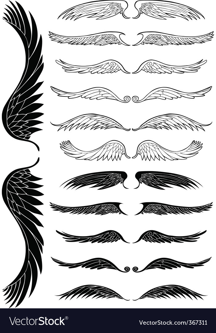 Angel wings vector 1563 Views 9 Downloads