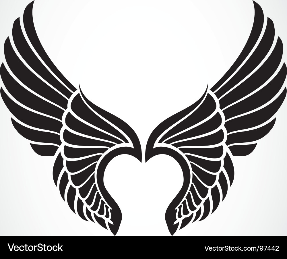 Angel wings vector