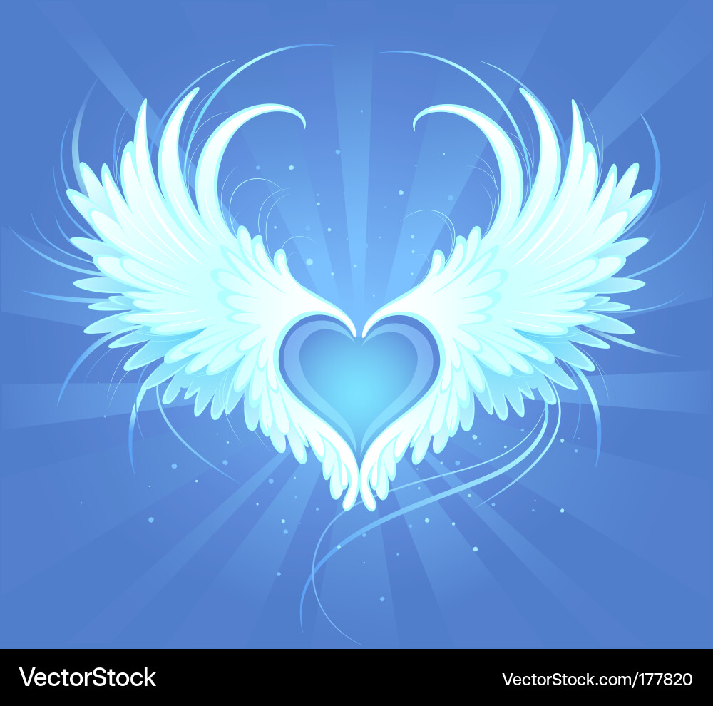 Angels heart vector