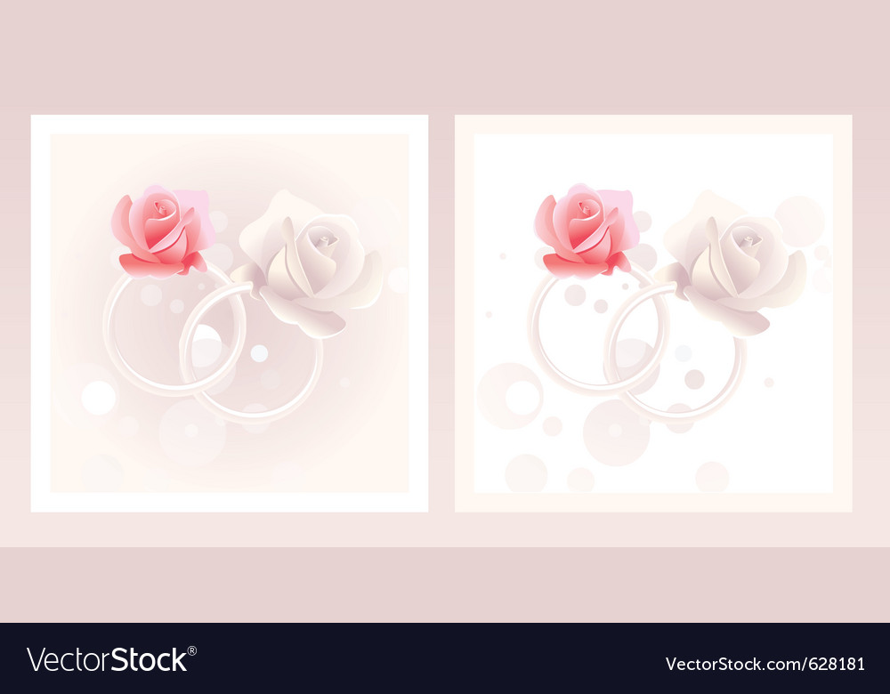 Wedding rings and roses vector