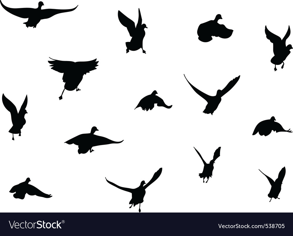 Free Vector Birds on Flying Bird Silhouettes Vector 538705   By Vlastas